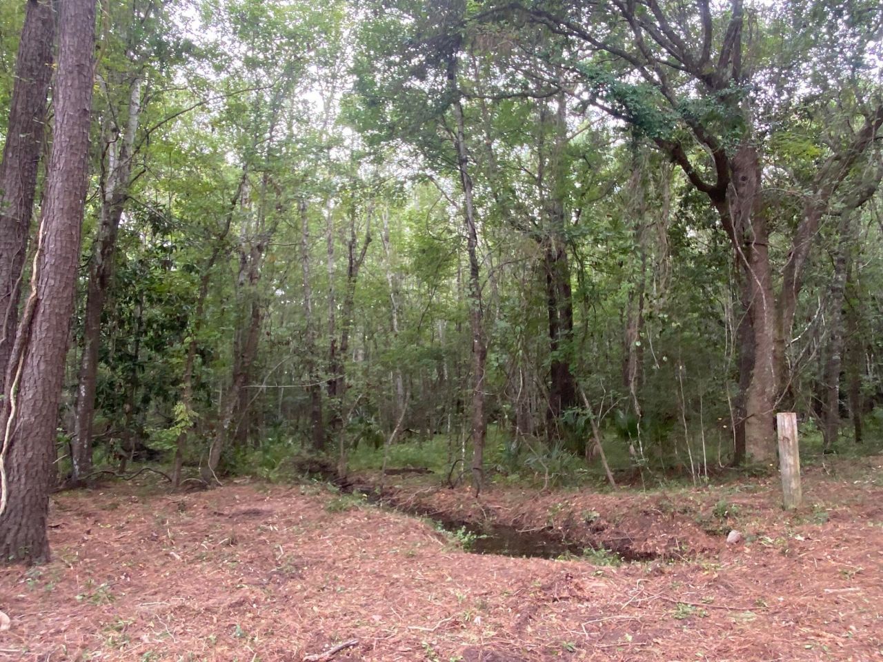 6154 Rudder Lane Photo 4