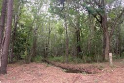 6154 Rudder Lane photo 4