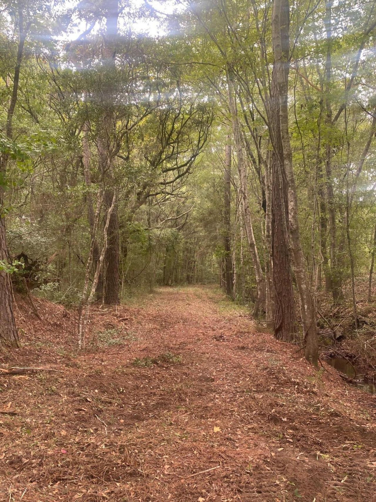 6154 Rudder Lane Photo 5