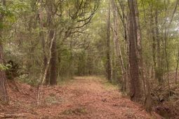 6154 Rudder Lane photo 4