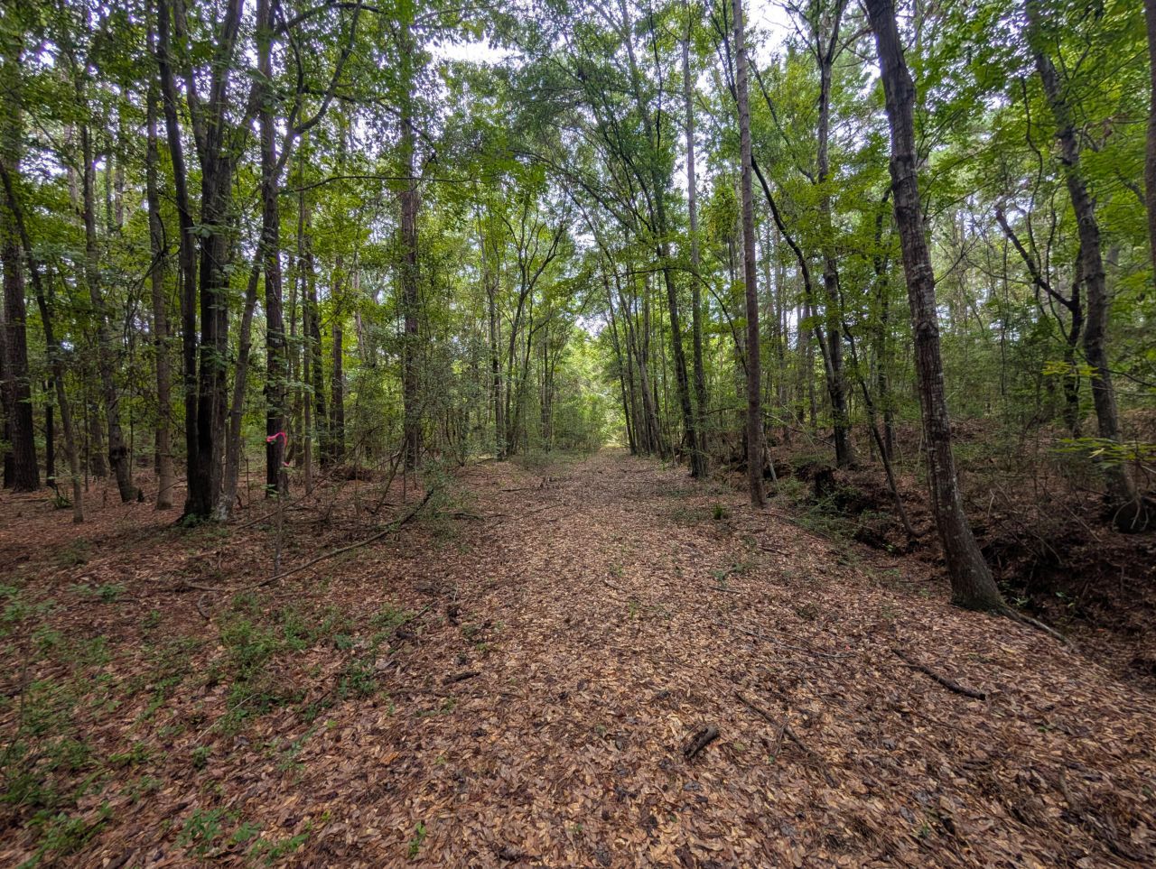 6154 Rudder Lane Photo 6