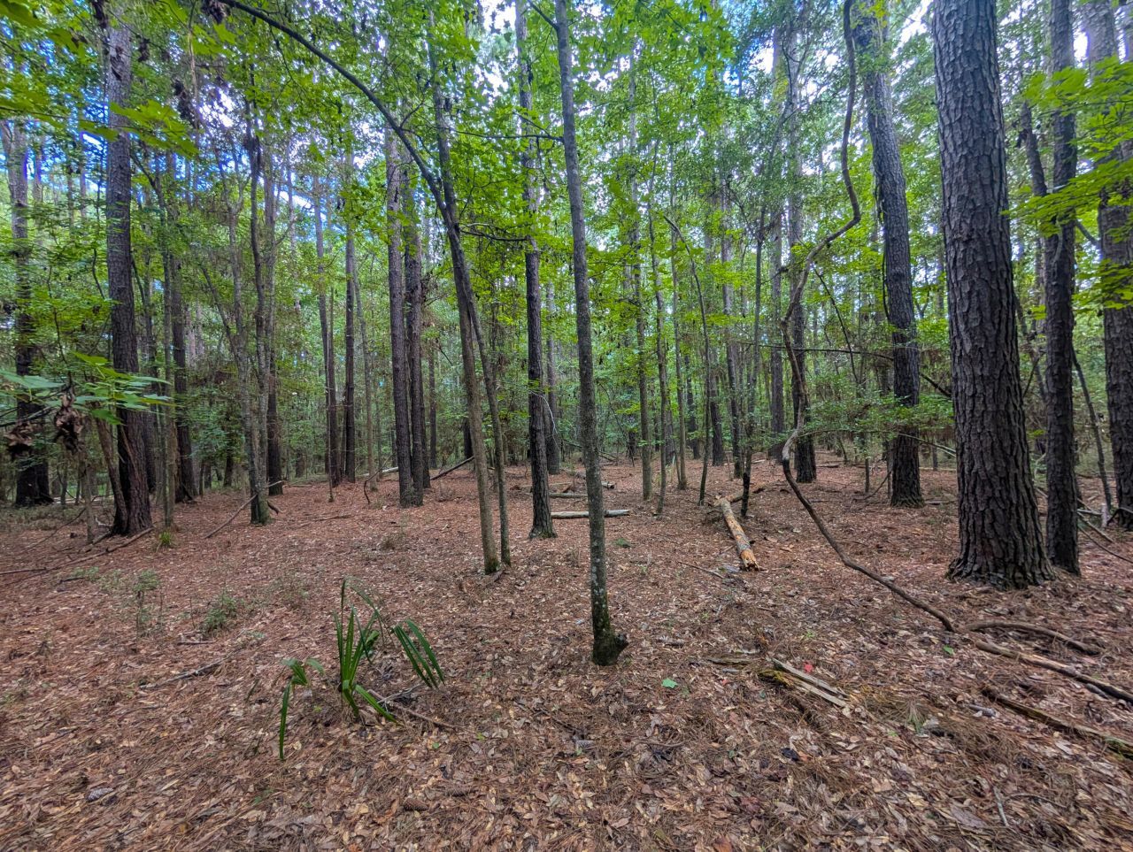 6154 Rudder Lane Photo 9