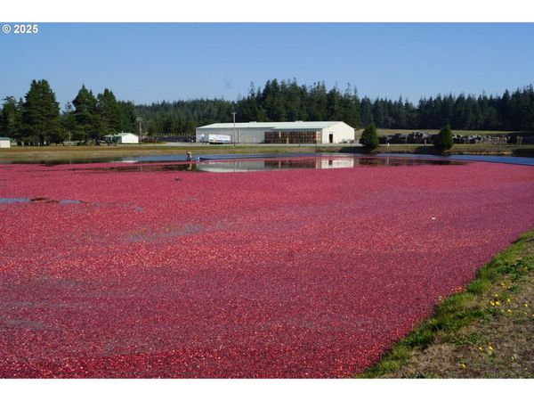 54981 MORRISON RD, Bandon, OR 97411