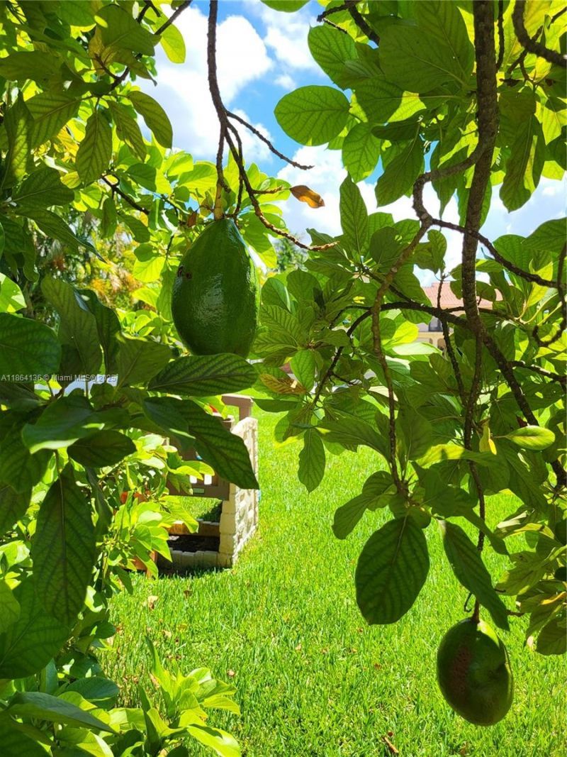 2930 SW 129 Ave, Miami, FL 33175 Photo