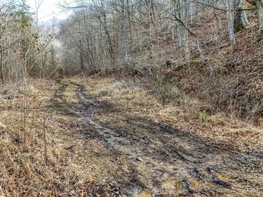 9999 Honeycutt Branch Turkey Creek, Barbourville, KY 40906