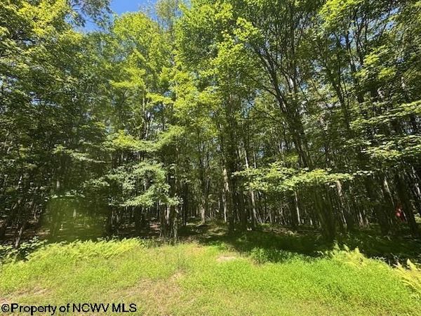TBD N Branch Hollow, Bruceton Mills, WV 26525