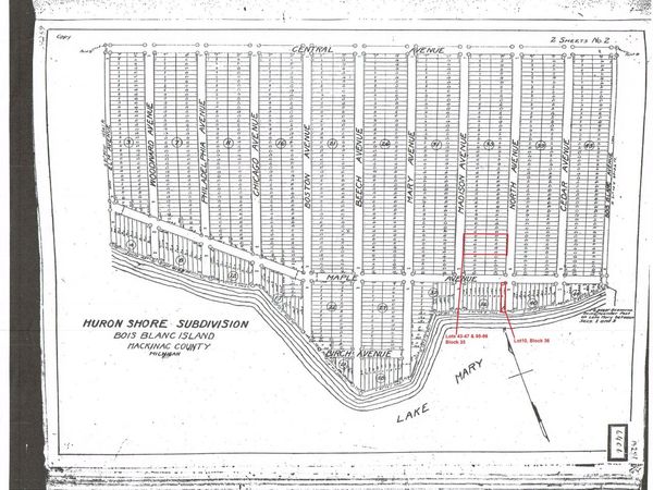 1044479599 Madison & Maple AVE, Bois Blanc, MI 49775