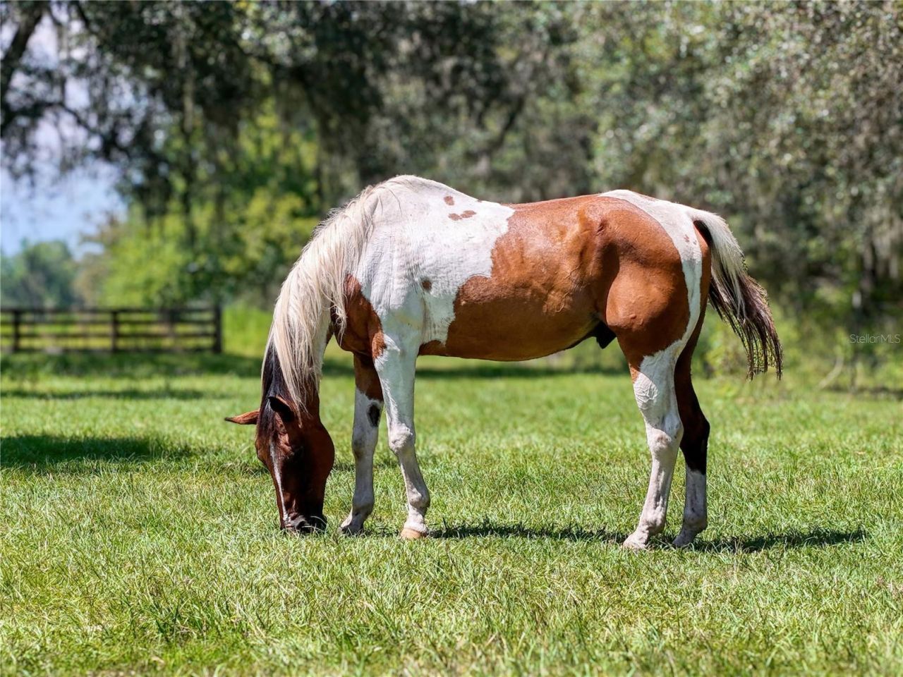 20089 Ayers Road, Brooksville, FL 34604 Photo