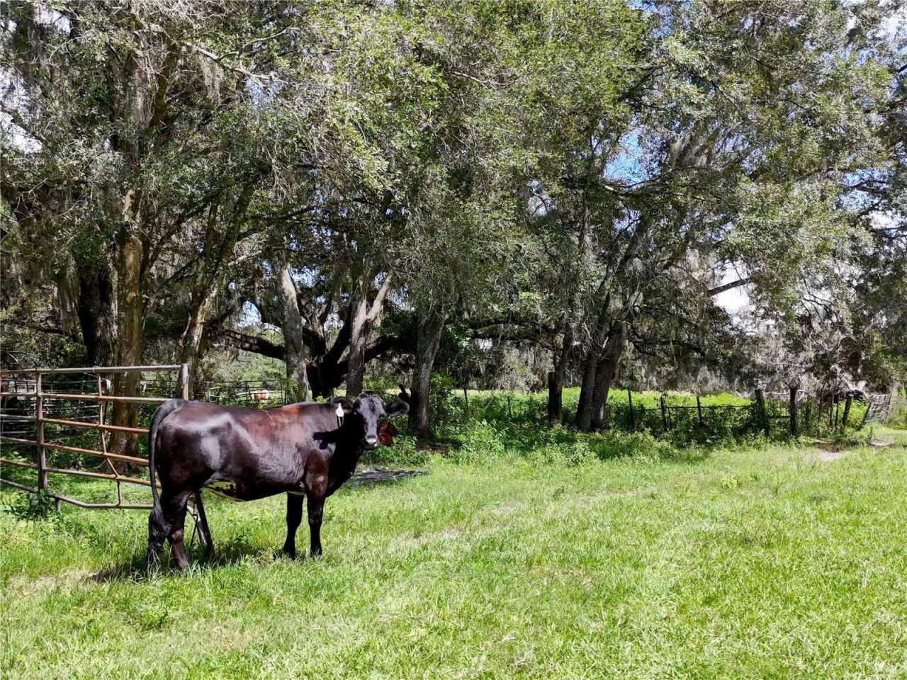 20089 Ayers Road, Brooksville, FL 34604 Photo