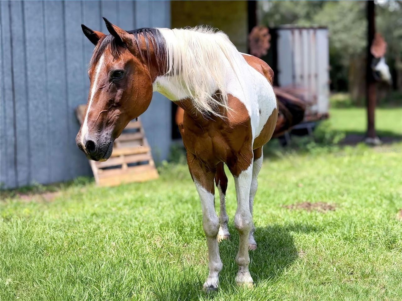 20089 Ayers Road, Brooksville, FL 34604 Photo