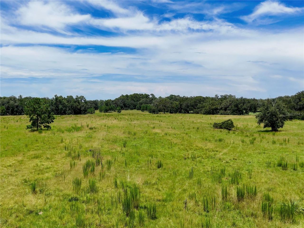 20089 Ayers Road, Brooksville, FL 34604 Photo