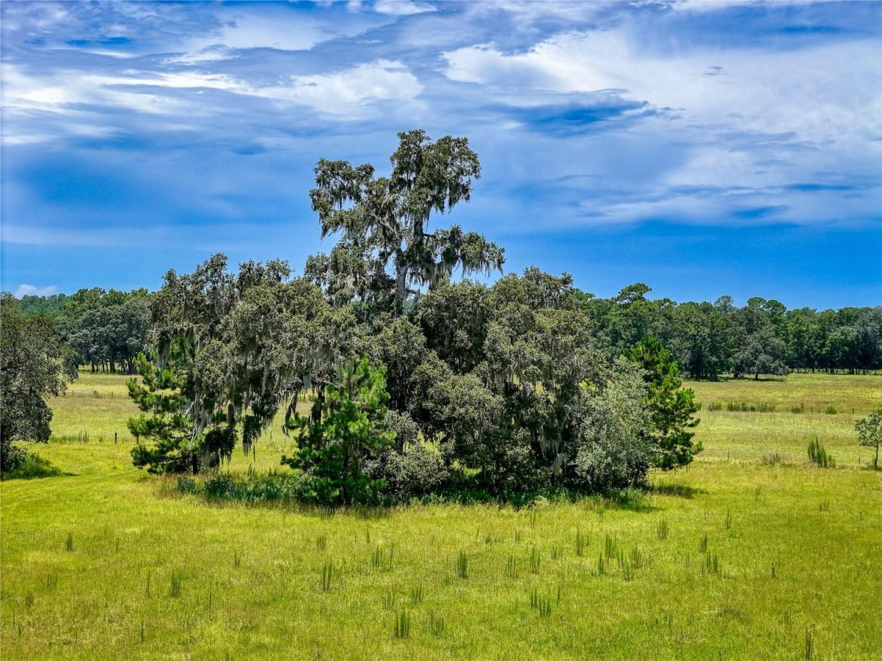 20089 Ayers Road, Brooksville, FL 34604 Photo