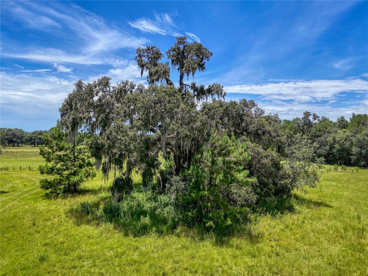 20089 Ayers Road, Brooksville, FL 34604 Photo