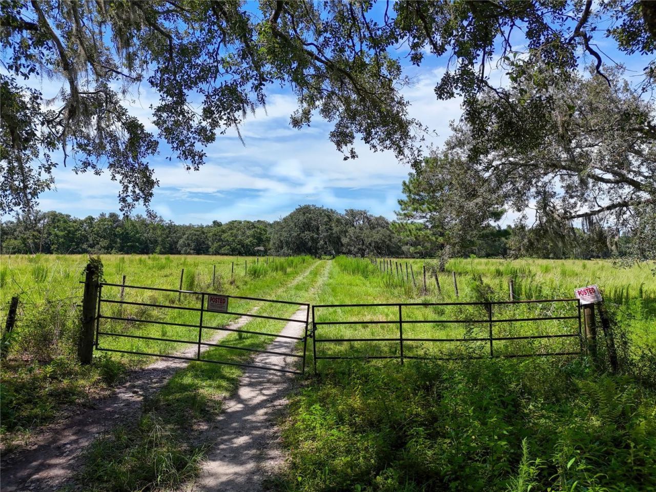 20089 Ayers Road, Brooksville, FL 34604 Photo