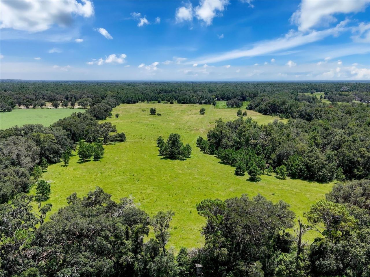 20089 Ayers Road, Brooksville, FL 34604 Photo