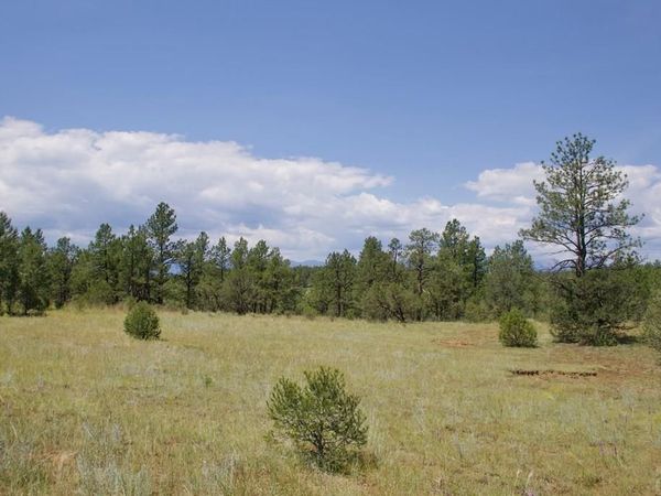 Lark Bunting Lane, Weston, CO 81089