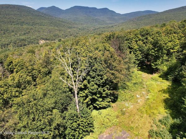 Tbd Macdaniel Rd, Bearsville, NY 12409