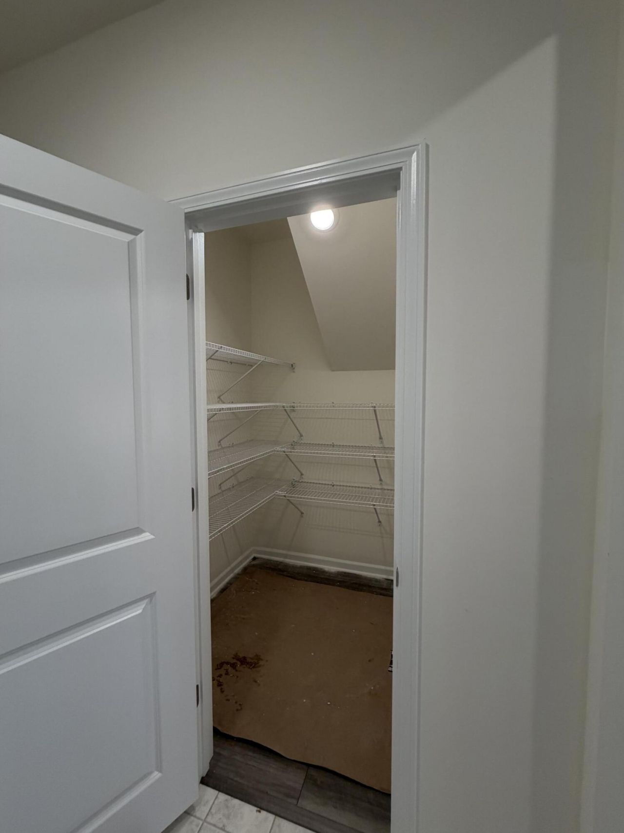 227 Palfrey Drive Photo 4