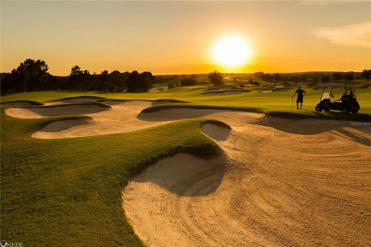 16039 Pendio Drive, Montverde, FL 34756 Photo