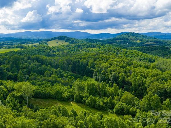 TBD Phipps Dairy Road , Piney Creek, NC 28663