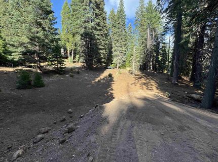 814 Lake Ridge Road, Lake Almanor, CA 96137 Photo