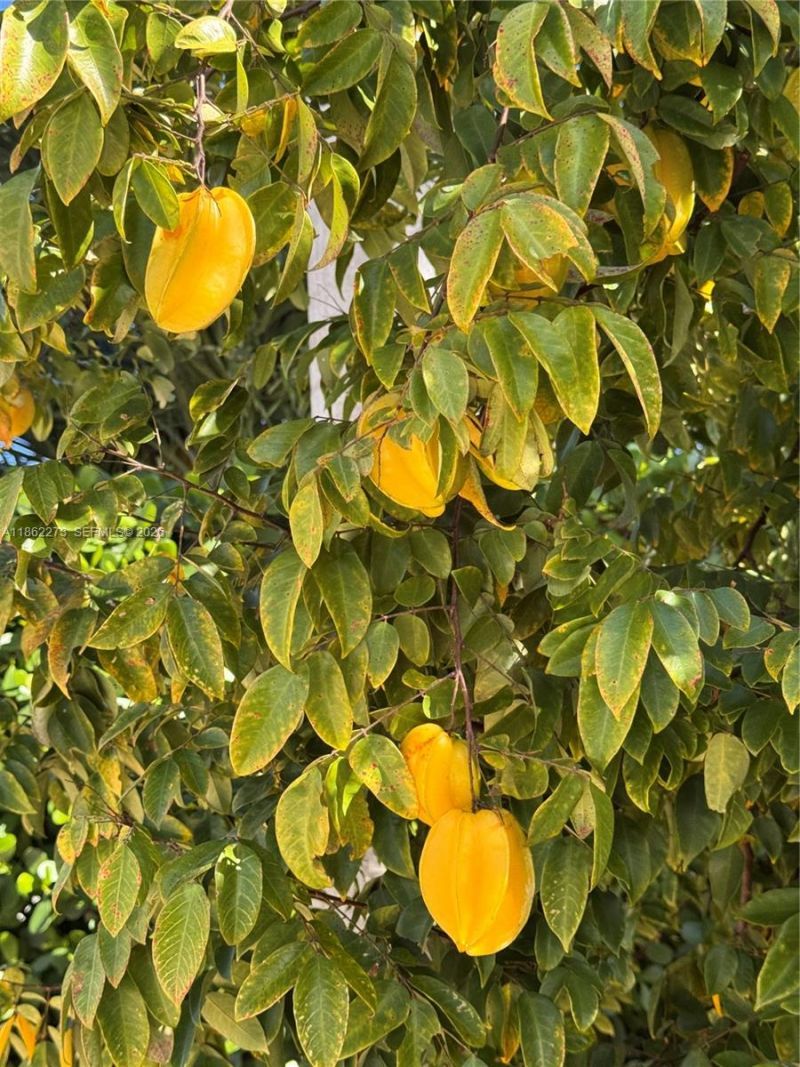 8366 SW 193rd St, Cutler Bay, FL 33157 Photo