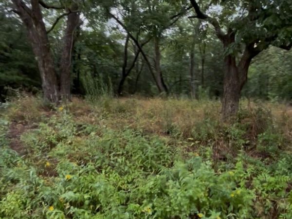 1 N Shoreline Drive, Hulbert, OK 74441