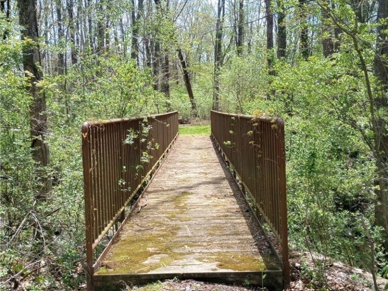 147 Morgan Street, Oberlin, OH 44074 Photo 31