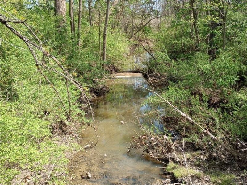 147 Morgan Street, Oberlin, OH 44074 Photo 32