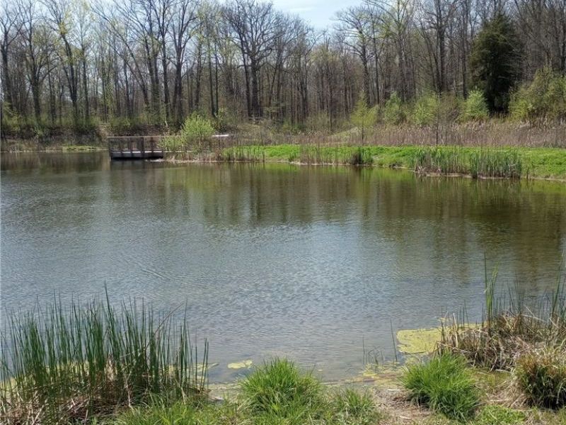 147 Morgan Street, Oberlin, OH 44074 Photo 34