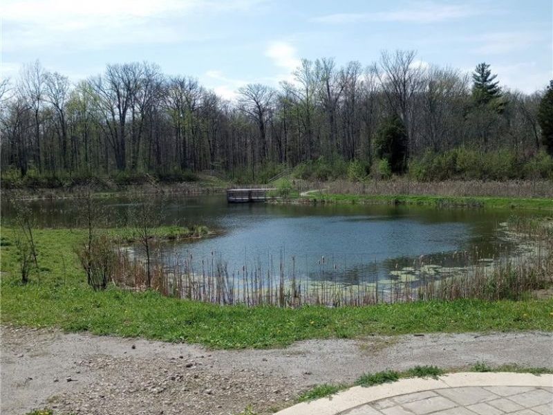 147 Morgan Street, Oberlin, OH 44074 Photo 35