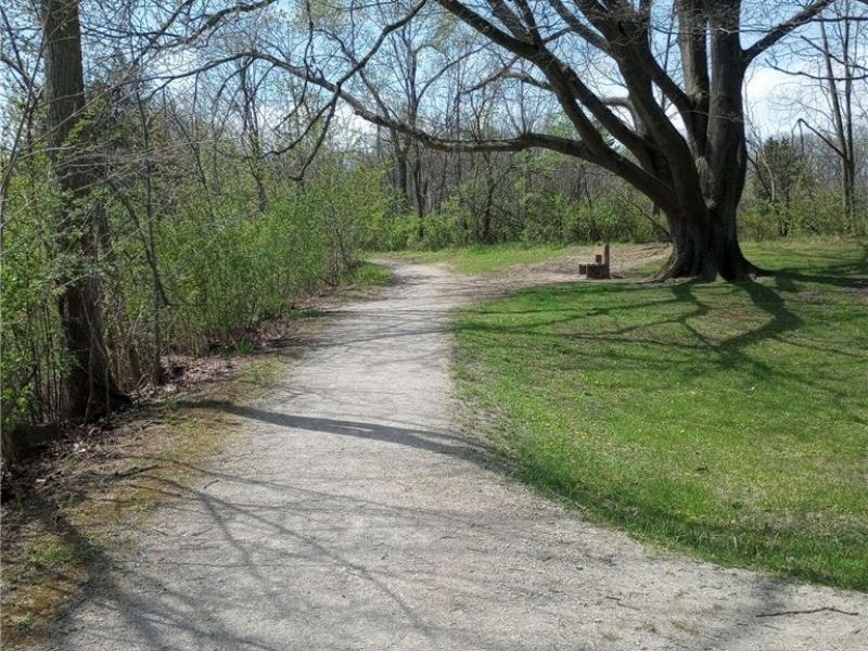 147 Morgan Street, Oberlin, OH 44074 Photo 36