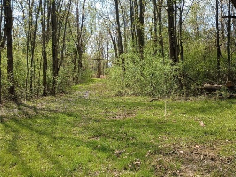 147 Morgan Street, Oberlin, OH 44074 Photo 38