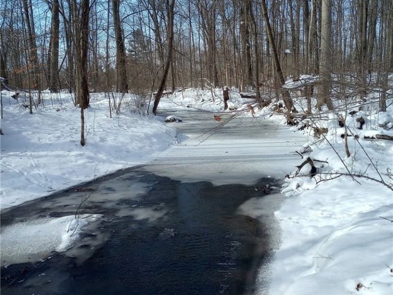 147 Morgan Street, Oberlin, OH 44074 Photo 39