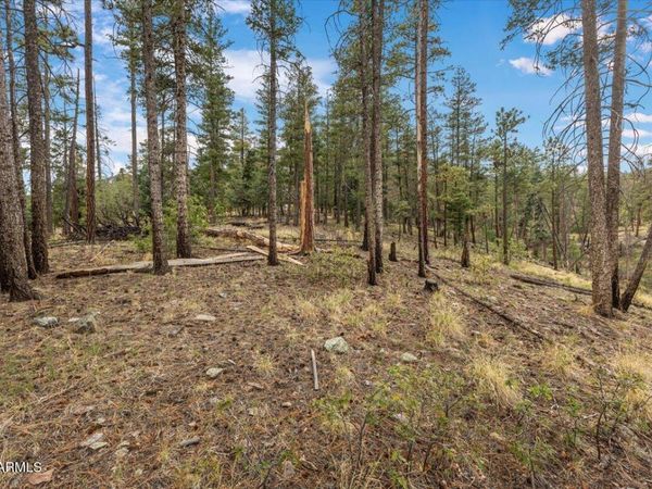 14 COUNTY RD 2074, Unit 29, Alpine, AZ 85920