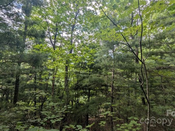 00 Pinewood Drive, Waynesville, NC 28786