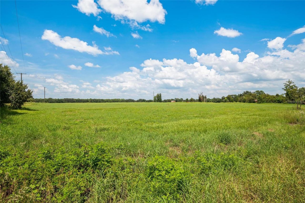 12410 Thonotosassa Road, Thonotosassa, FL 33592 Photo