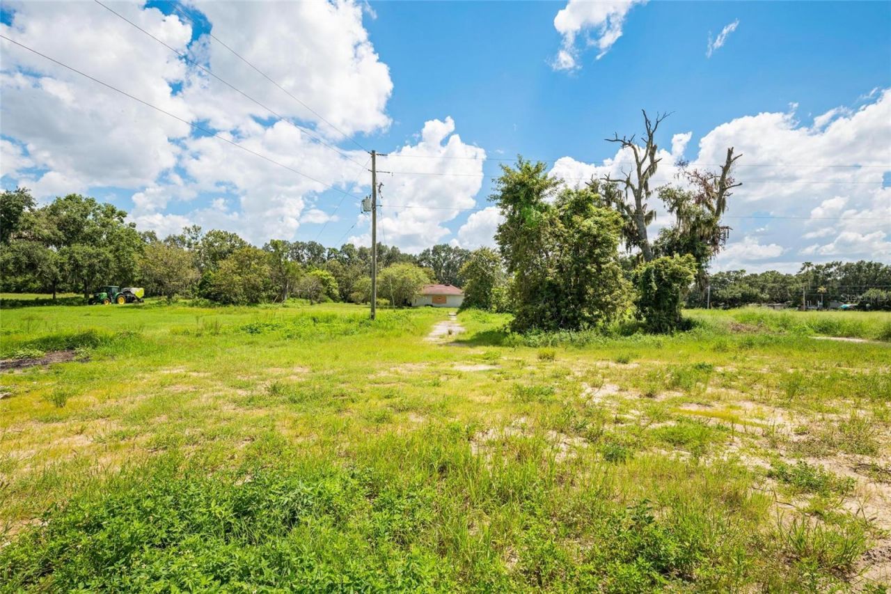 12410 Thonotosassa Road, Thonotosassa, FL 33592 Photo