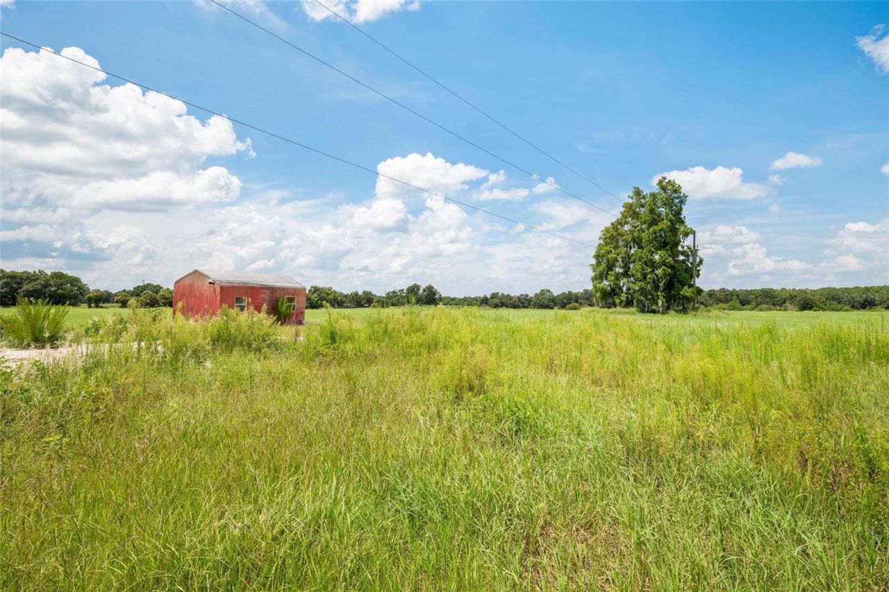 12410 Thonotosassa Road, Thonotosassa, FL 33592 Photo