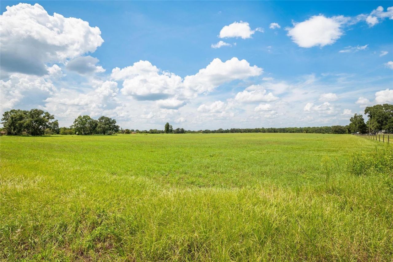 12410 Thonotosassa Road, Thonotosassa, FL 33592 Photo