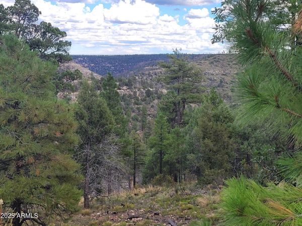 5089 MORNING VIEW Drive, Unit 5, Happy Jack, AZ 86024
