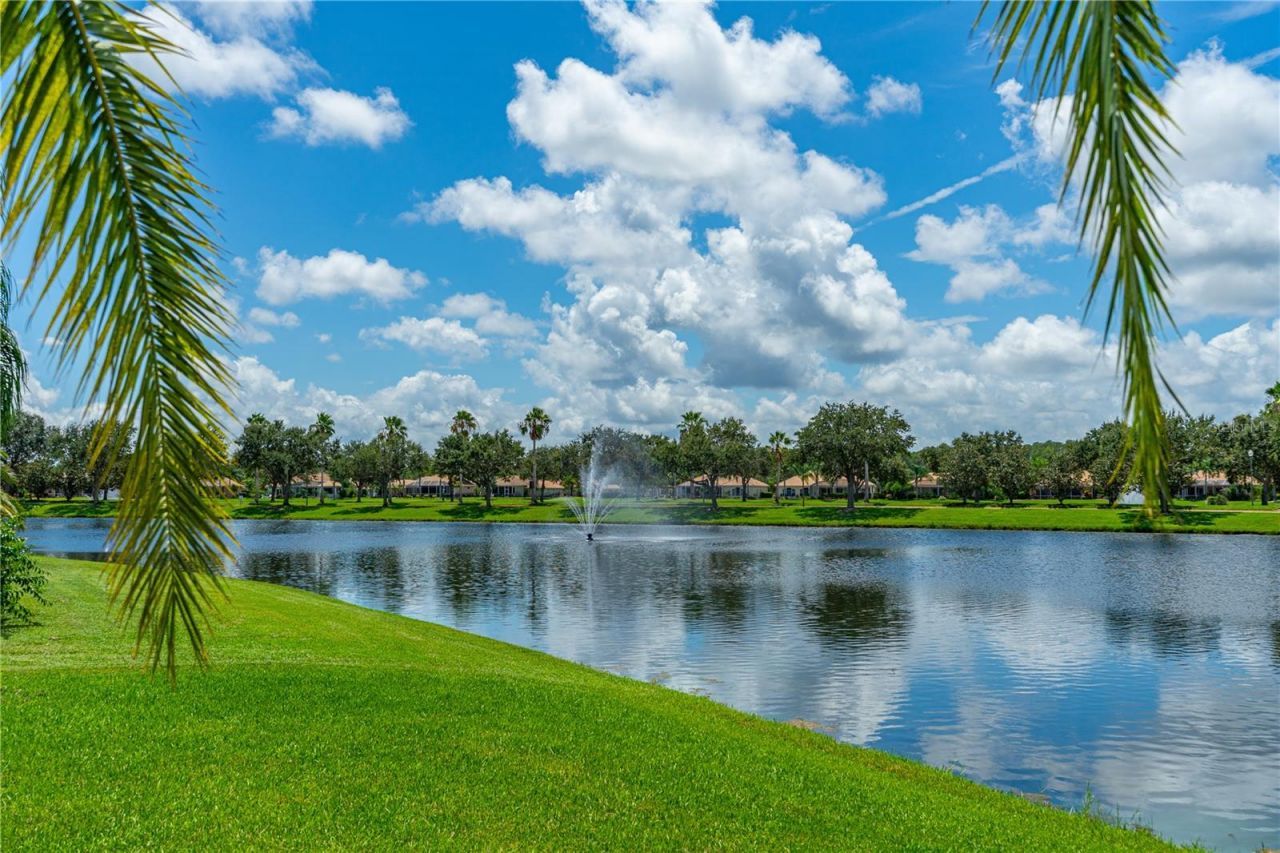 3610 Marisol Court, New Smyrna Beach, FL 32168 Photo