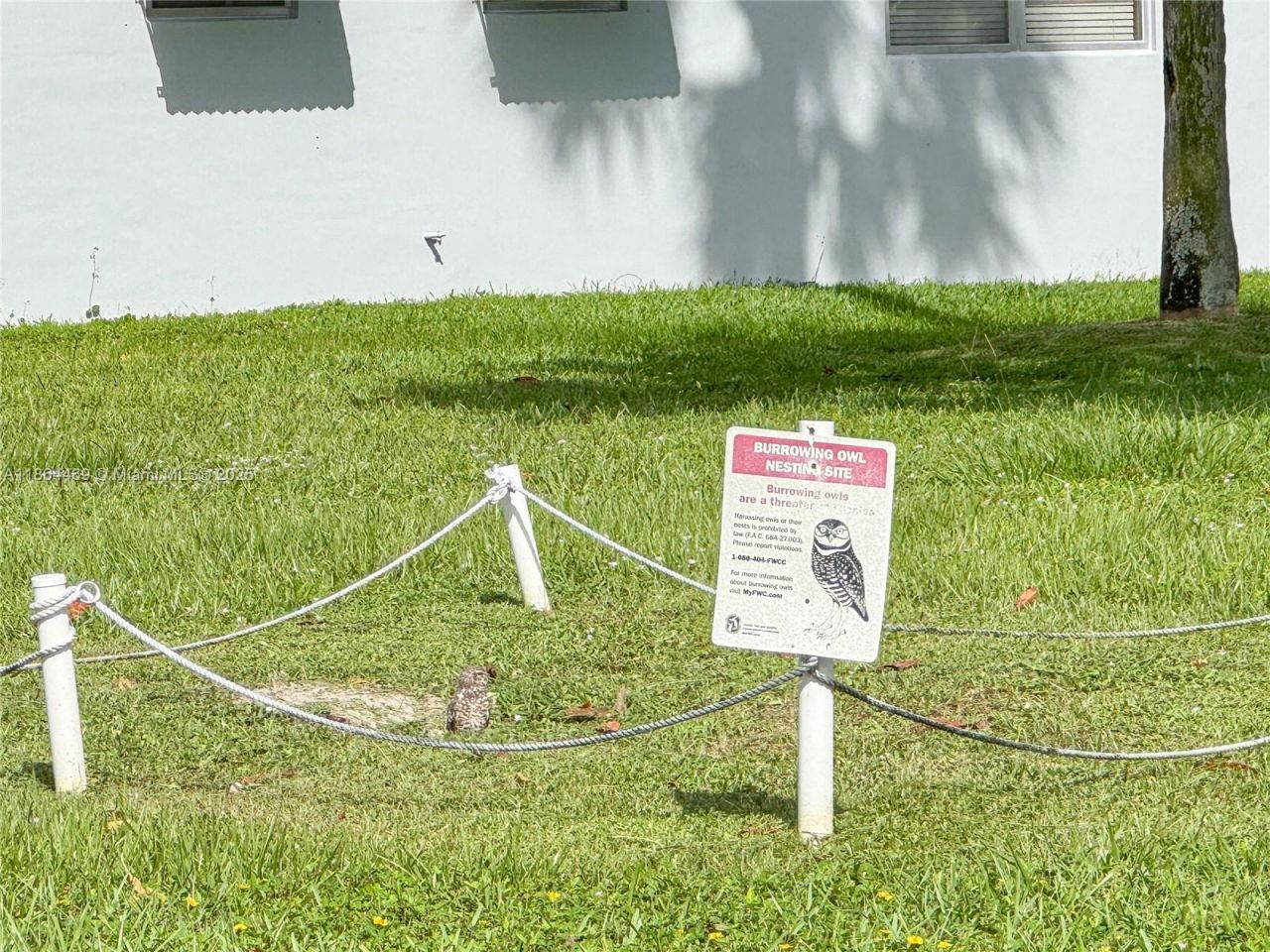 2300 Park Ln, Unit 105, Hollywood, FL 33021 Photo