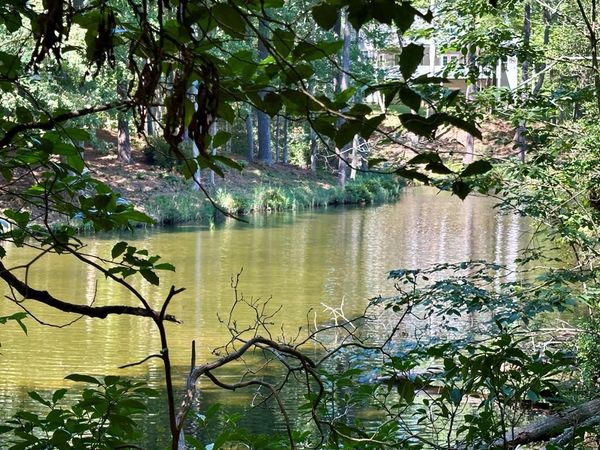 Lot 75 Wood Duck Court, HEATHSVILLE, VA 22473