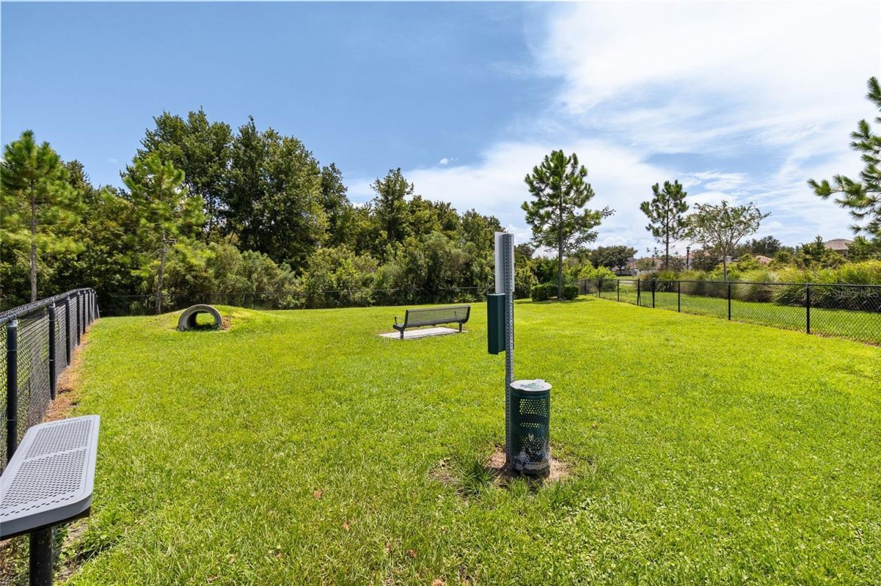 10328 Hawks Landing Drive, Land O Lakes, FL 34638 Photo