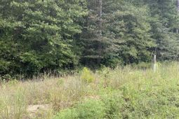 5445 Dubose Siding Road photo 4