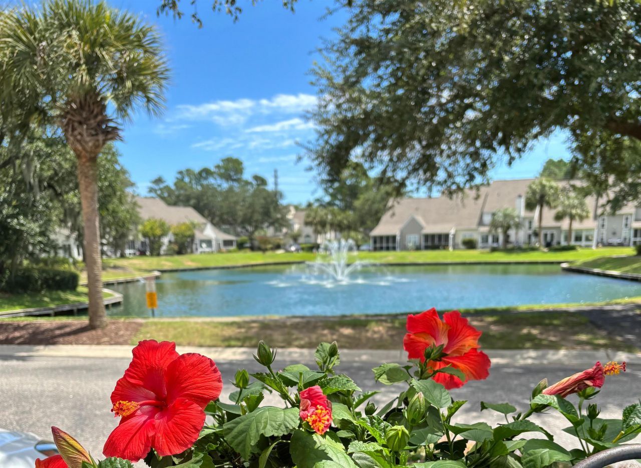 118 Palisade Loop Photo 29