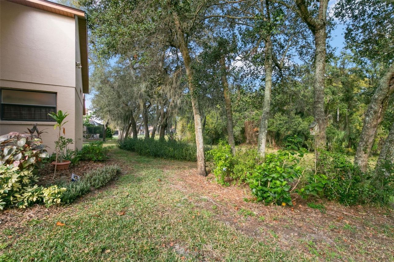 9315 Haas Drive, Hudson, FL 34669 Photo