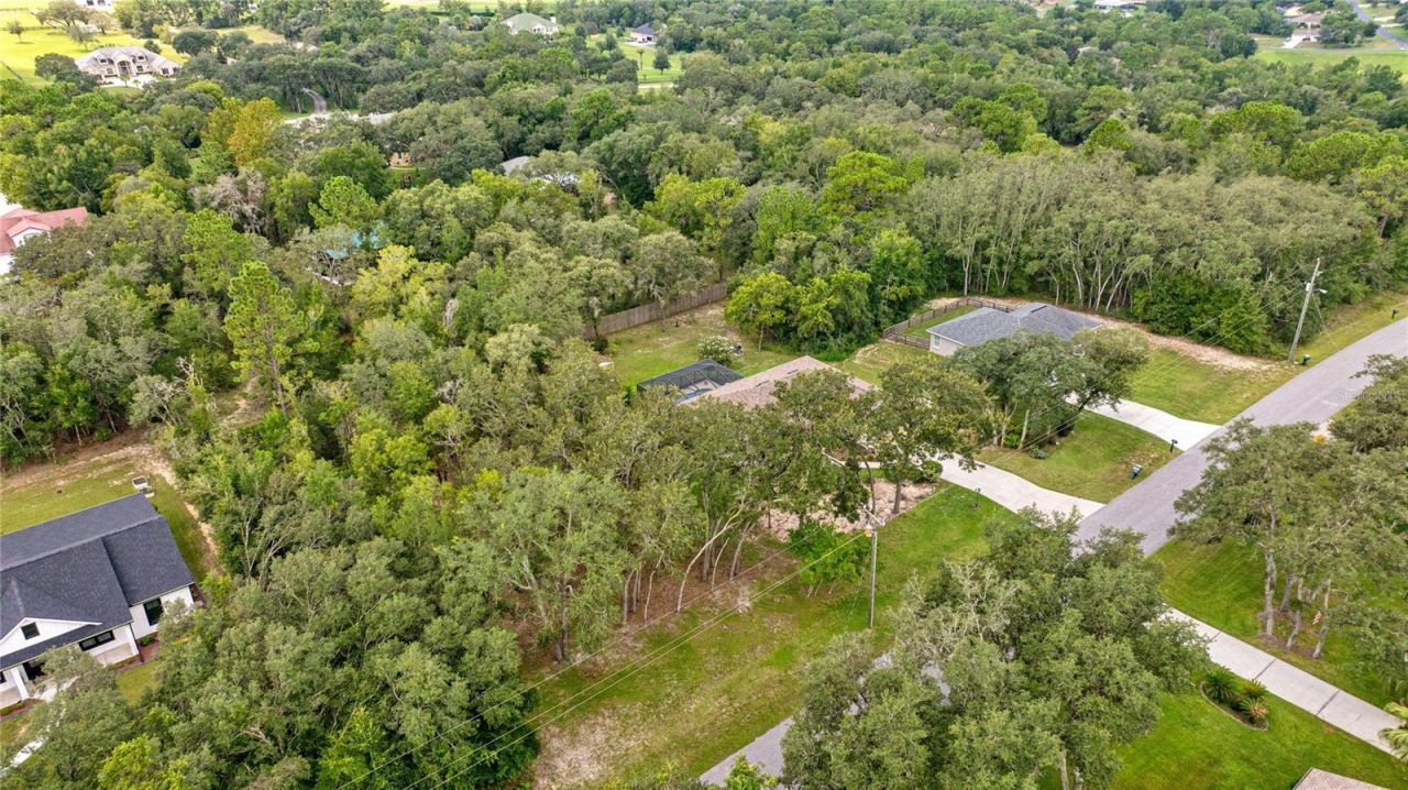 2174 E Celina Street, Inverness, FL 34453 Photo