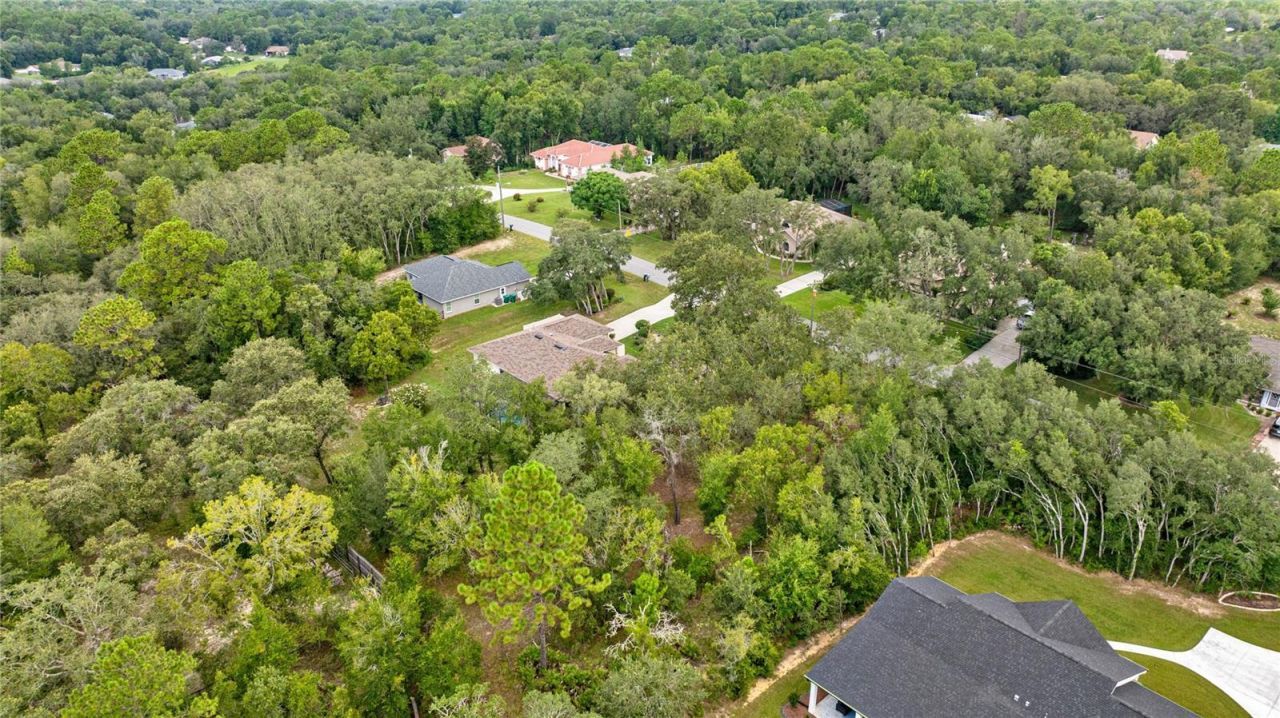 2174 E Celina Street, Inverness, FL 34453 Photo